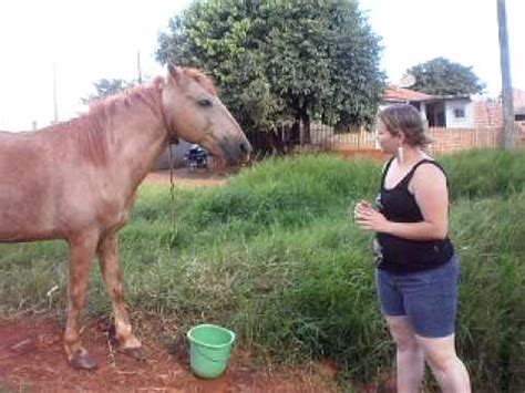 mulheres transando com animal